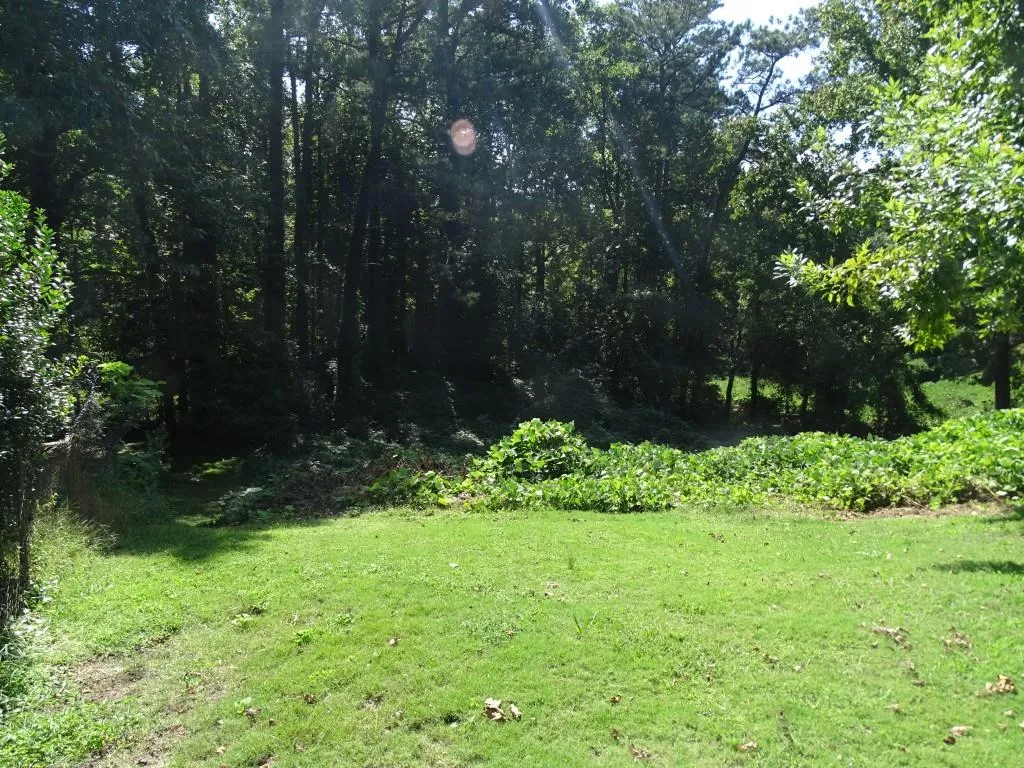 5850 Kayron Drive, Sandy Springs, Georgia 30328, ,Land,Sold,5850 Kayron Drive,5913451