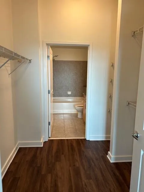 Spacious closet featuring wood finished floors