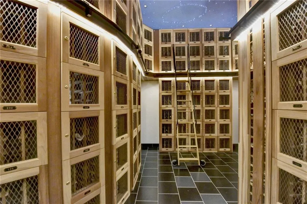 View of wine cellar