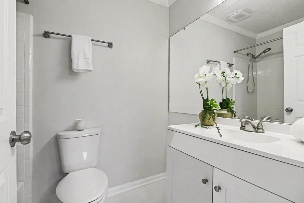 Updated Primary Bathroom