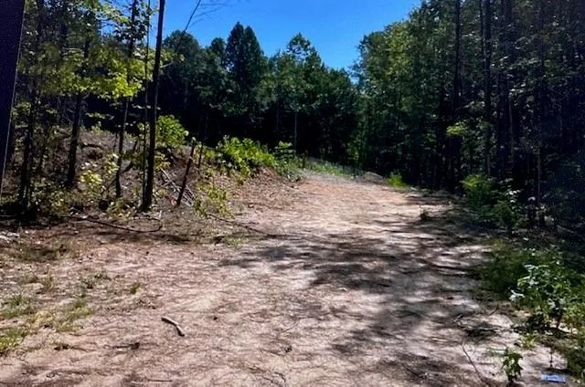 Wooded lot featuring a cleared path and varied tree cover