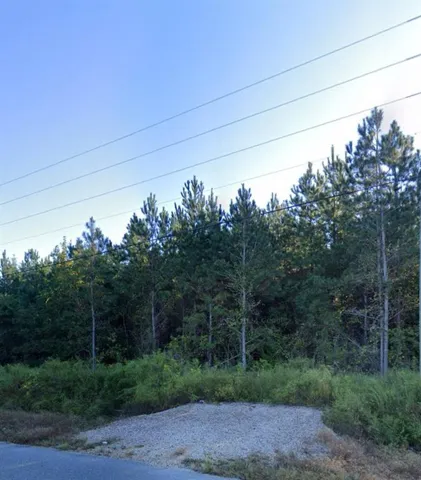 Wooded property featuring mature trees and established ground cover