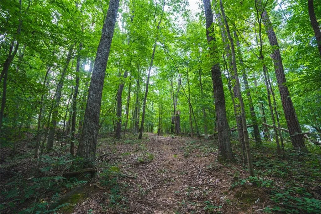 8308 Hewlett Road, Sandy Springs, Georgia 30350, ,Land,Sold,8308 Hewlett Road,6693659