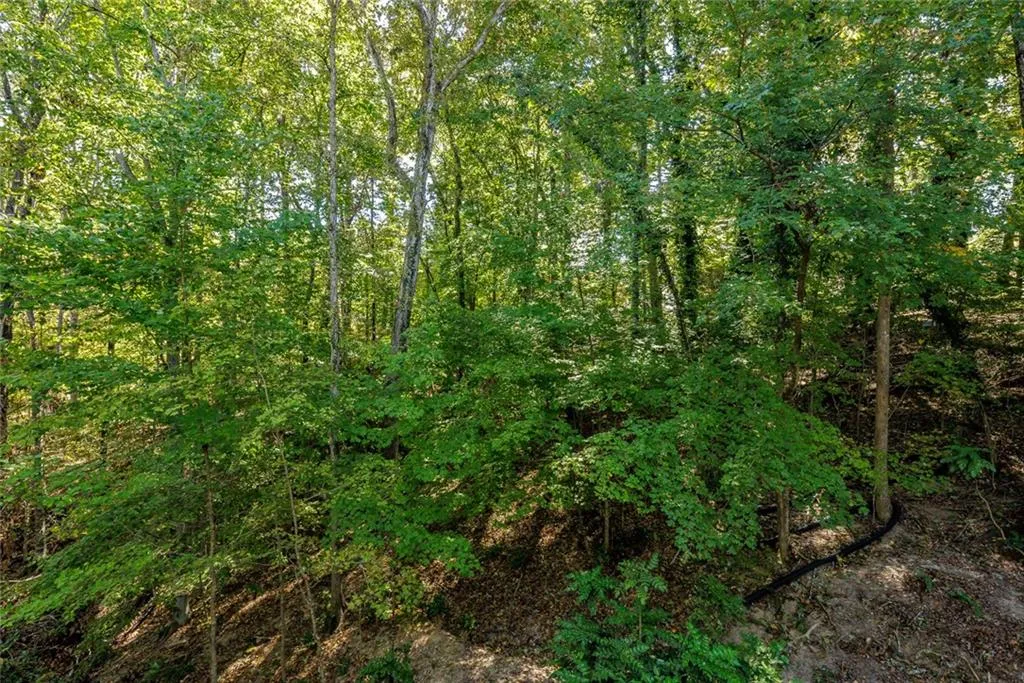 605 Valley Hall Drive, Sandy Springs, Georgia 30350, 4 Bedrooms Bedrooms, ,3 BathroomsBathrooms,Residential,Sold,605 Valley Hall Drive,7127588