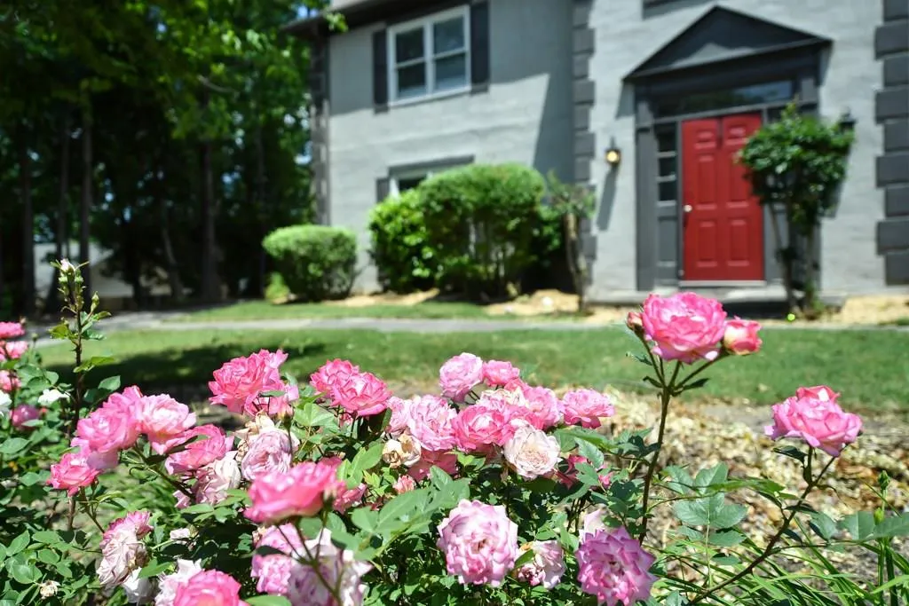 9158 Carroll Manor Drive, Sandy Springs, Georgia 30350, 3 Bedrooms Bedrooms, ,2 BathroomsBathrooms,Residential,Sold,9158 Carroll Manor Drive,6009193