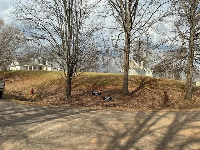 View of Front of Yard
