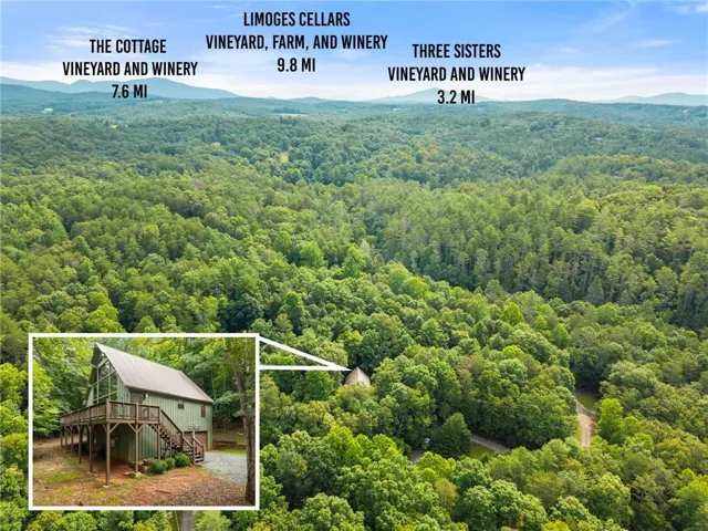 A-frame home featuring a metal roof, expansive decking, and an elevated position within a lush, wooded environment