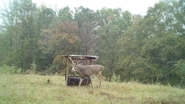 1170