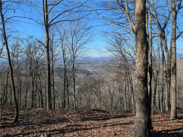 234 Stirratt Road, Ranger, Georgia 30734