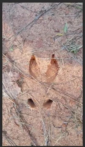 1170