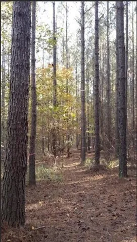 1047 Ponder Trammell Road, Juliette, Georgia 31046