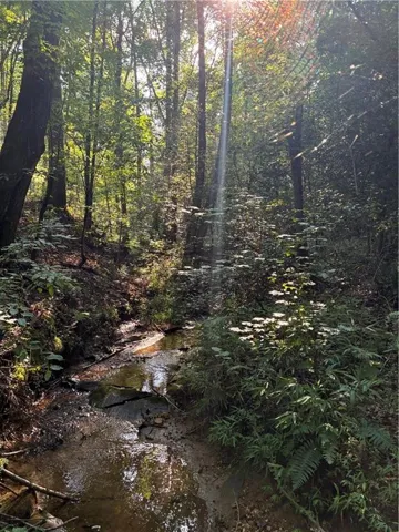 Wooded natural environment featuring a flowing stream