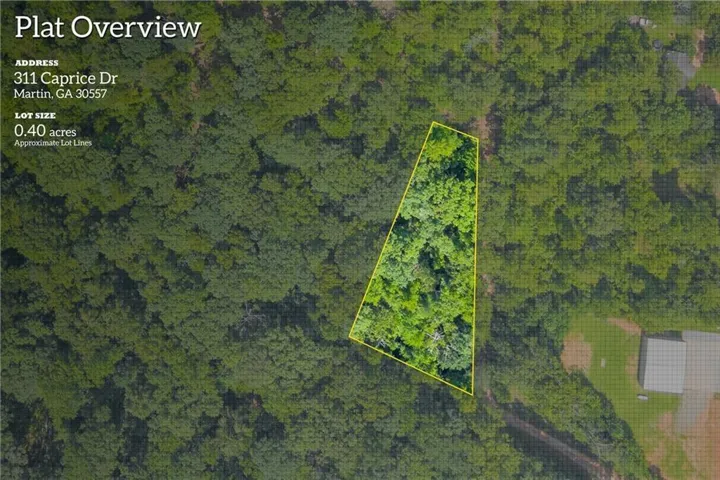 311 Caprice Drive, Martin, Georgia 30557