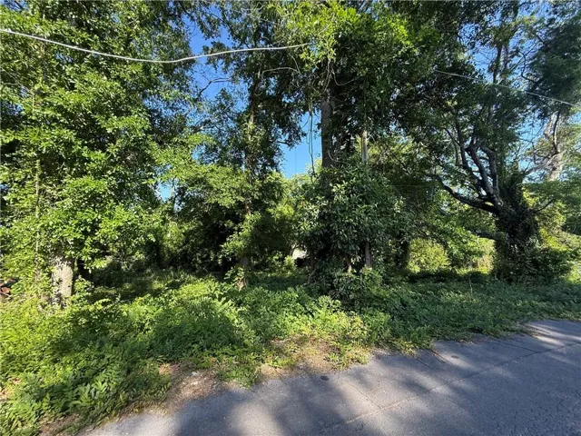 0 Hopewell Street, Rome, Georgia 30161
