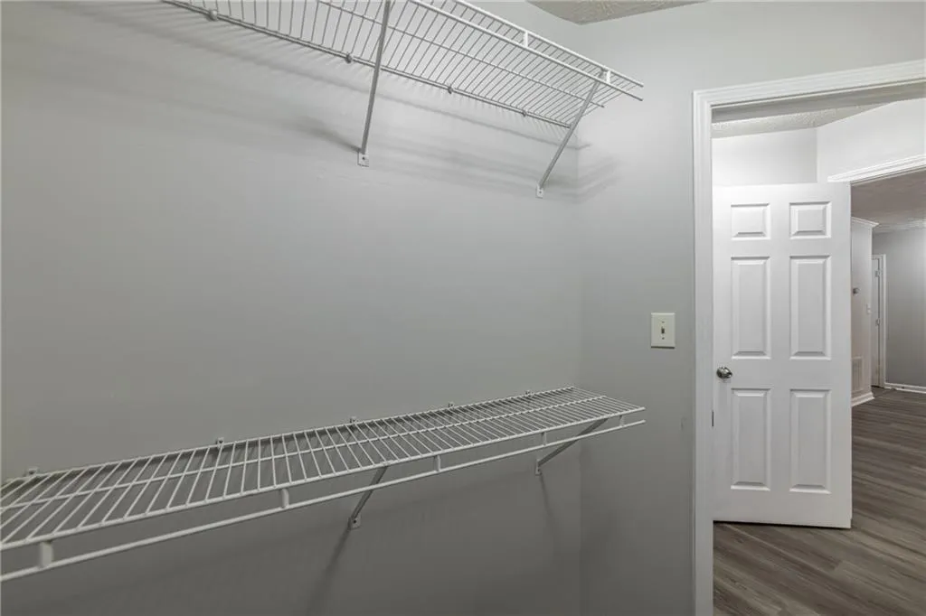 Spacious closet featuring dark wood-type flooring