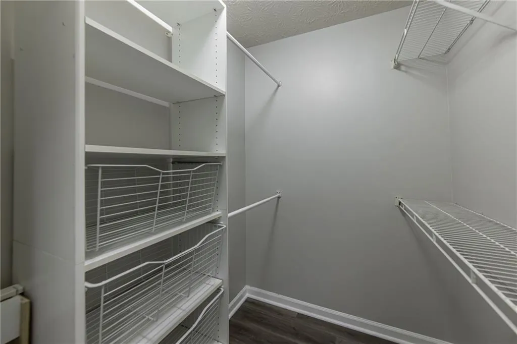 Spacious closet with dark wood finished floors