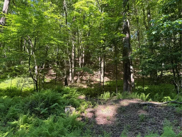 0 Walhalla Court, Ellijay, Georgia 30540