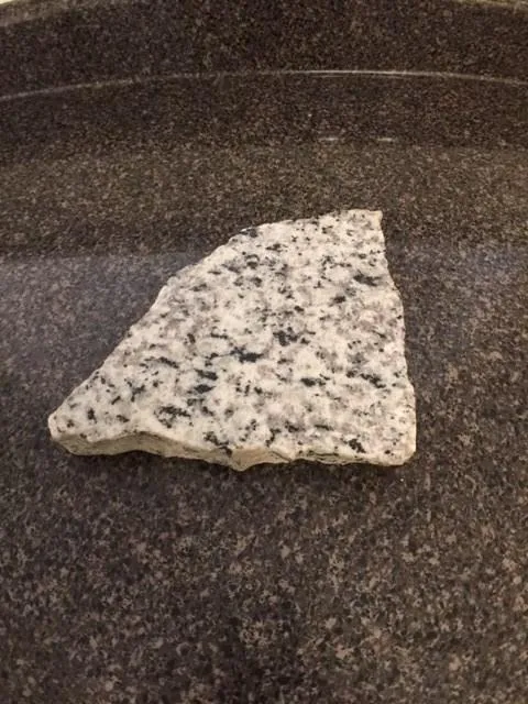 1407 Wingate Way, Sandy Springs, Georgia 30350, 1 Bedroom Bedrooms, ,1 BathroomBathrooms,Residential,Sold,1407 Wingate Way,5739933