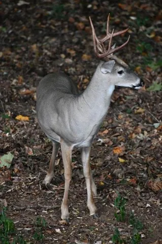 1170
