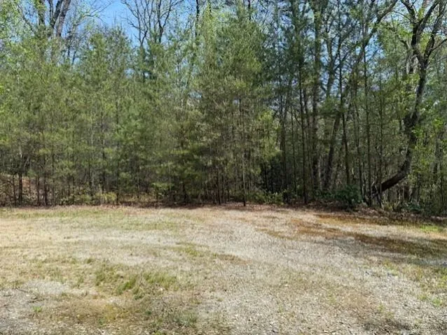 Lot 5 Marjorie Ave, Ellijay, Georgia 30536