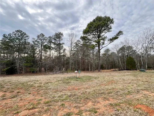 134 Daniel Ridge, Cartersville, Georgia 30120