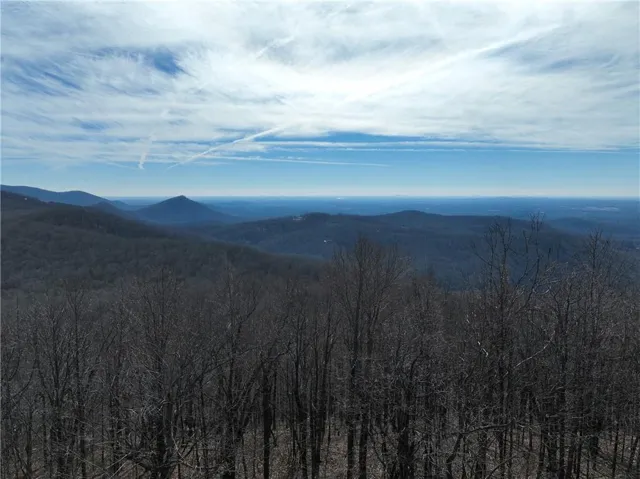 256 Blood Root Trail, Ellijay, Georgia 30536