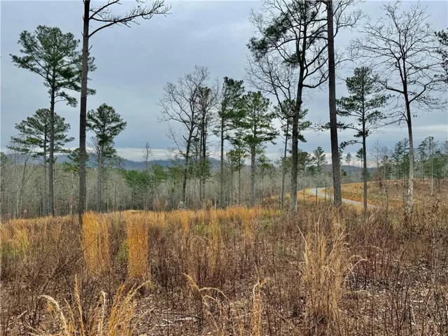 347 Timbercreek Trail, Talking Rock, Georgia 30175