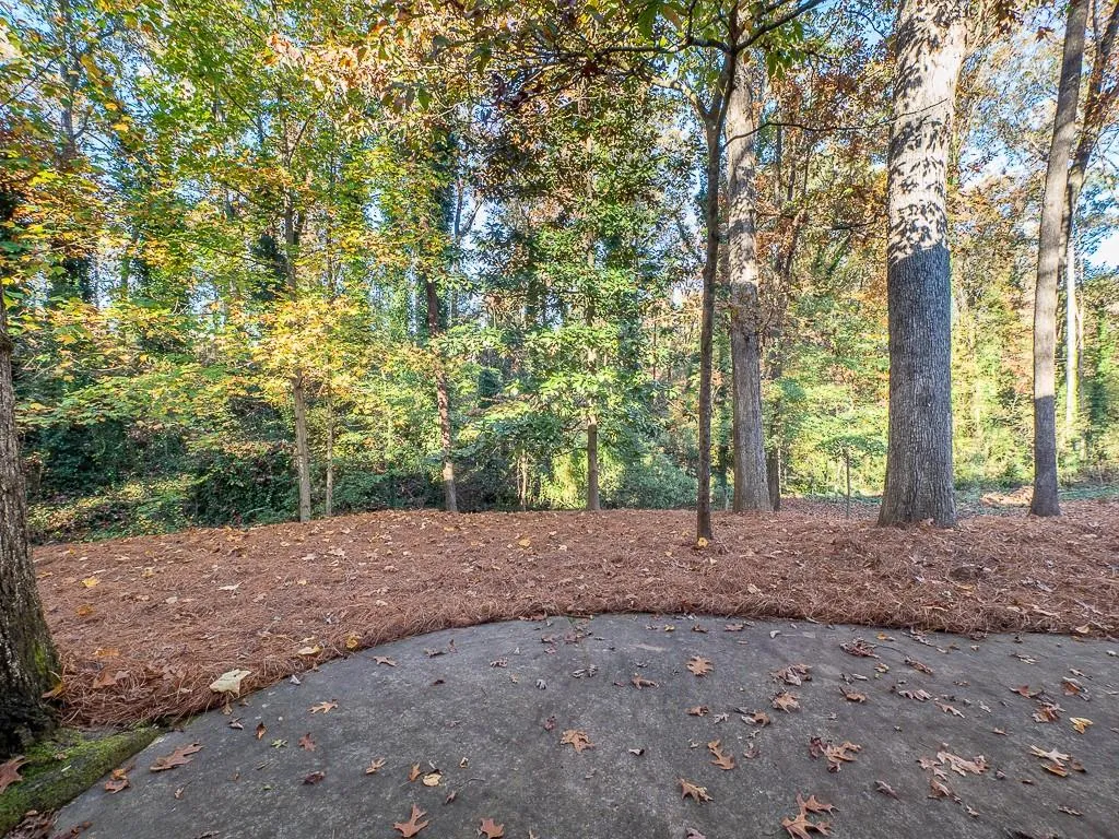 6560 Williamson Drive, Sandy Springs, Georgia 30328, 4 Bedrooms Bedrooms, ,3 BathroomsBathrooms,Residential,Sold,6560 Williamson Drive,6807330