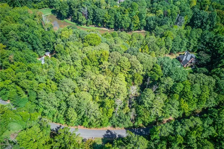 Expansive wooded property featuring a meandering paved road and a visible roofline