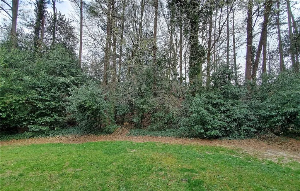 View of grassy yard