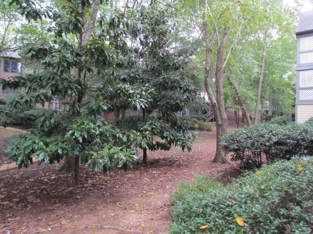 908 Hollyfax Circle Unit 908, Atlanta, Georgia 30328, 2 Bedrooms Bedrooms, ,2 BathroomsBathrooms,Residential,Sold,908 Hollyfax Circle Unit 908,5606876