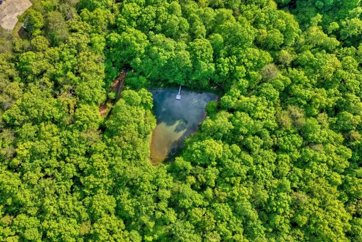 8 Ac Mcnelley Road, Morganton, Georgia 30560