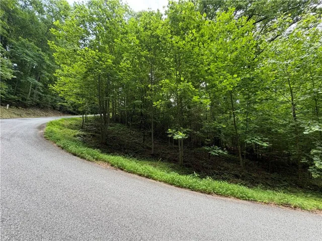 Paved road bordering a wooded hillside with dense tree coverage