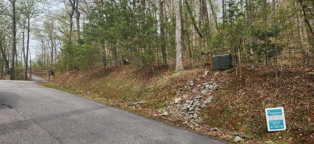 0 Yellow Trillium (lot 13), Clayton, Georgia 30525