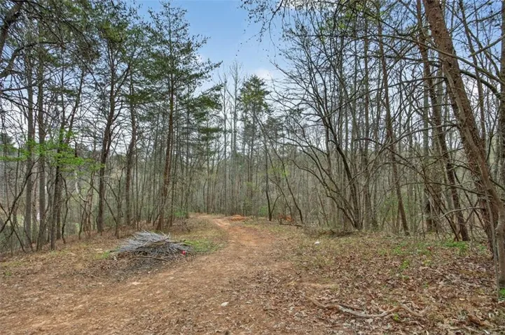 View of woods
