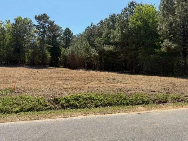 84 Popham Road Tract 3, Taylorsville, Georgia 30178