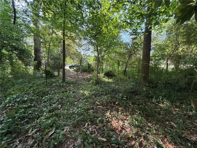 On Lot 12 Looking Towards Road