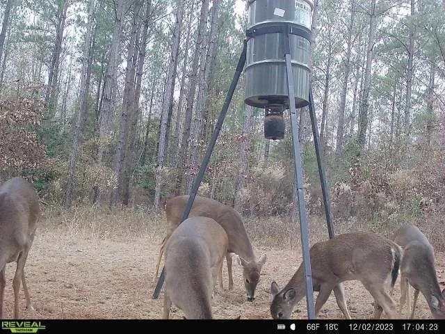 0 N Indian Trail Road, Sandersville, Georgia 31082