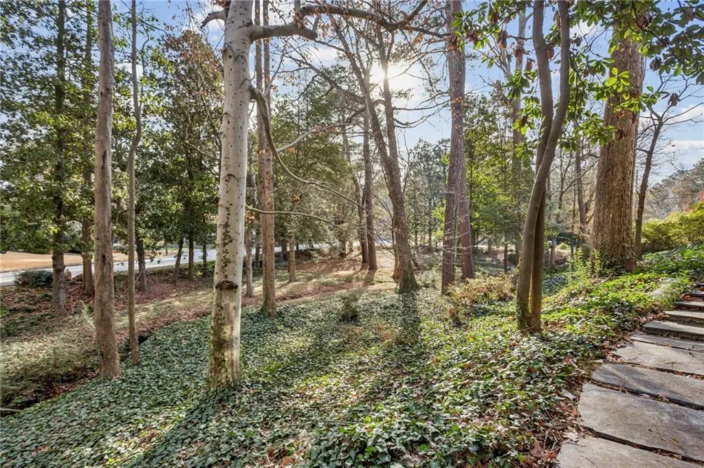 Side yard bounded by Habersham Rd