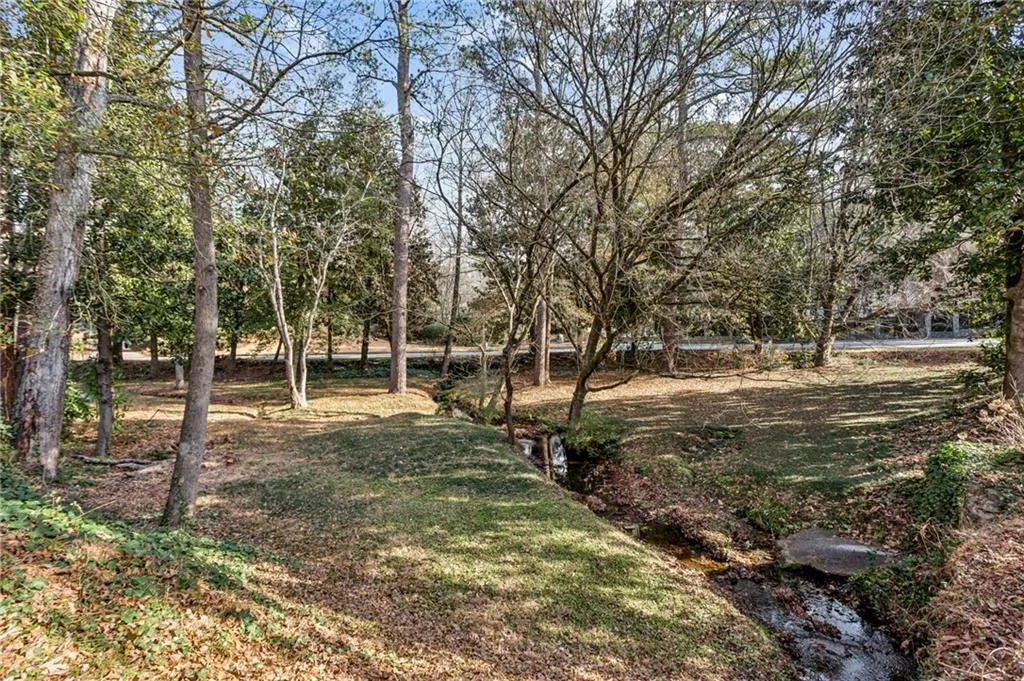 Side yard
