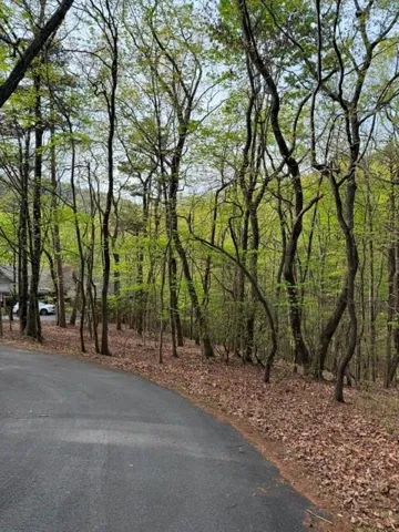 226 Crested Fern Lane, Big Canoe, Georgia 30143