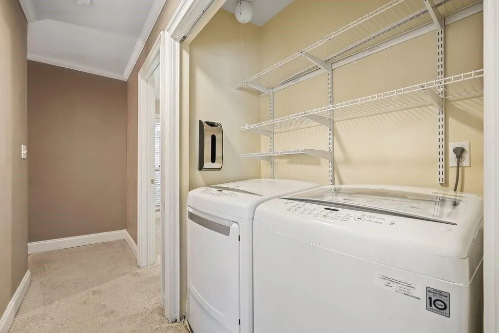 Clothes washing area featuring light colored carpet, crown molding, and washer and clothes dryer