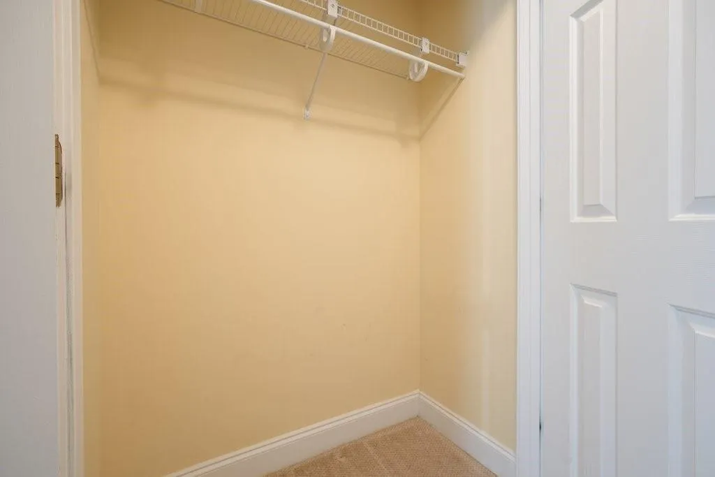 Spacious closet with carpet