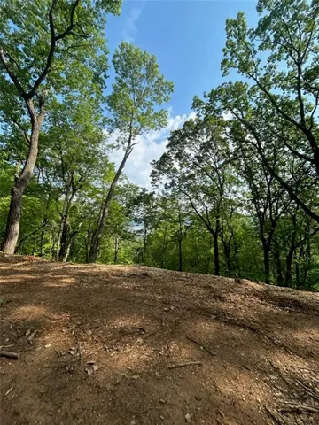 Wooded property featuring mature trees and a clear sky overhead