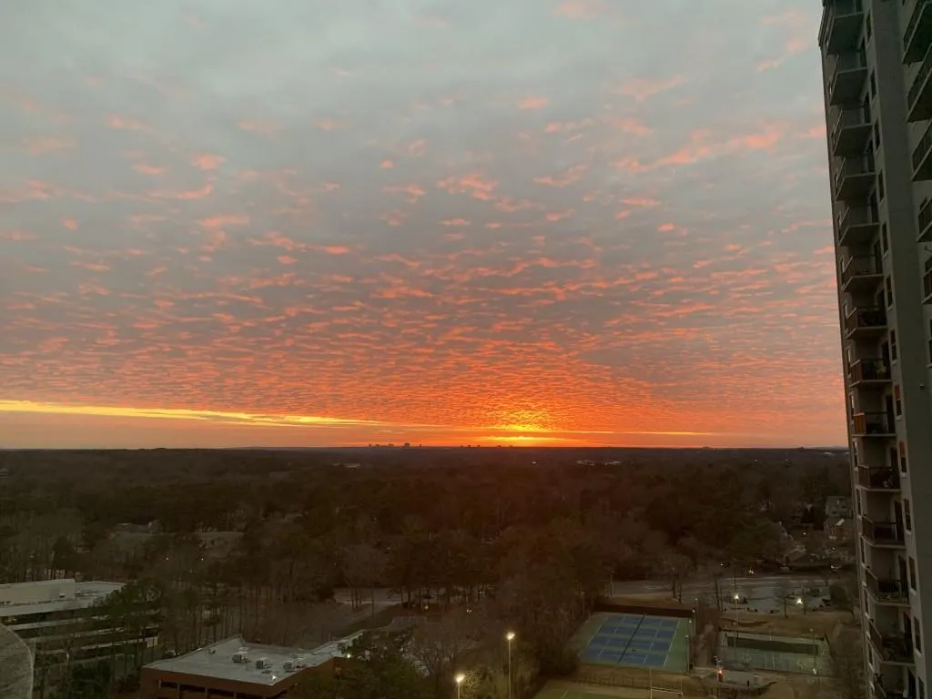 795 Hammond Drive Unit 2307, Atlanta, Georgia 30328, 1 Bedroom Bedrooms, ,1 BathroomBathrooms,Residential,Sold,795 Hammond Drive Unit 2307,6512811