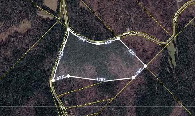 0 Felton Mcmichael Rd & Hayes – Landlot 090 Road, Monticello, Georgia 31064