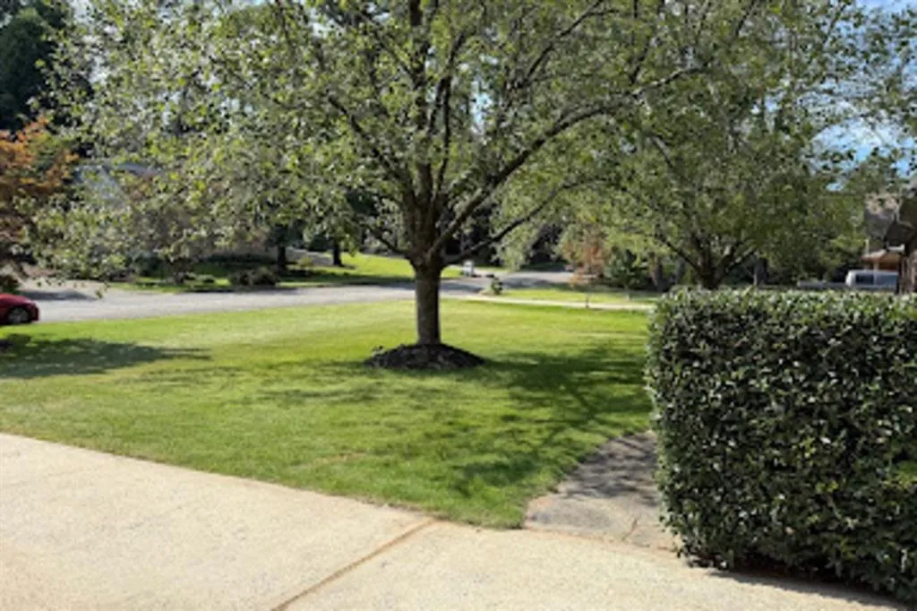 5795 Timberlane Terrace Ne, Sandy Springs, Georgia 30328, 3 Bedrooms Bedrooms, ,2 BathroomsBathrooms,Residential,For Sale,5795 Timberlane Terrace Ne,7645428 5795 Timberlane Terrace Ne, Sandy Springs, Georgia 30328, 3 Bedrooms Bedrooms, ,2 BathroomsBathrooms,Residential,For Sale,5795 Timberlane Terrace Ne,7645428