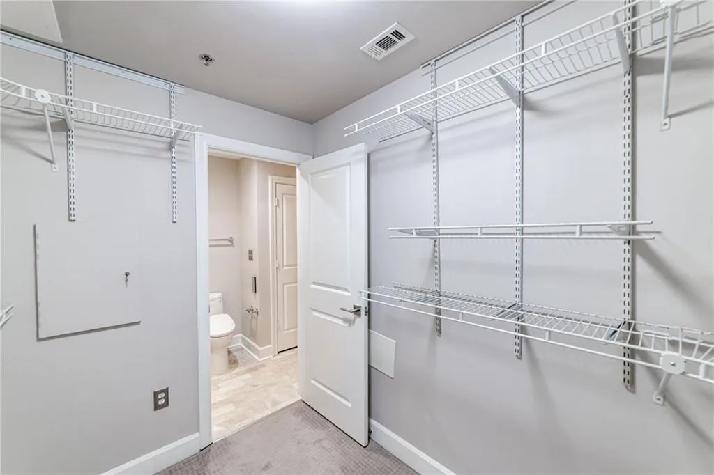 Spacious closet featuring carpet floors