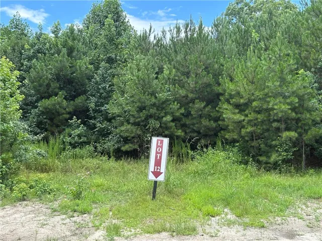 0 Hamilton Road, Chattahoochee Hills, Georgia 30268