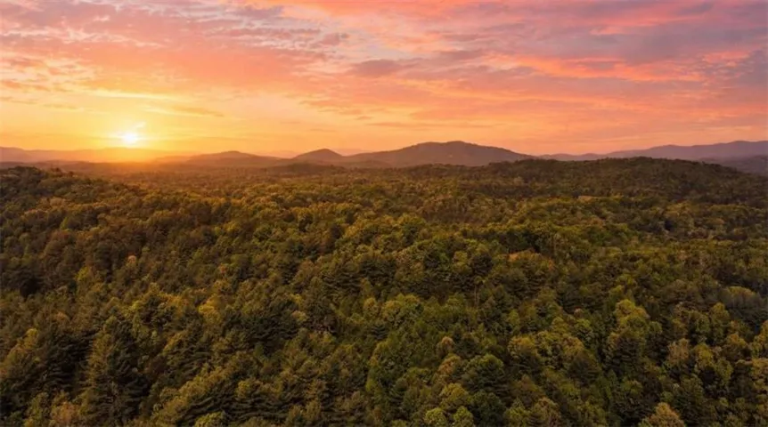 40 Ac Valley Lake Road, Mineral Bluff, Georgia 30559